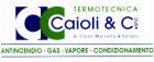 immagine relativa a TERMOTECNICA CAIOLI