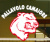 logo A.S.D. PALLAVOLO ROSIGNANO