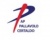 logo A.P. PALLAVOLO CERTALDO